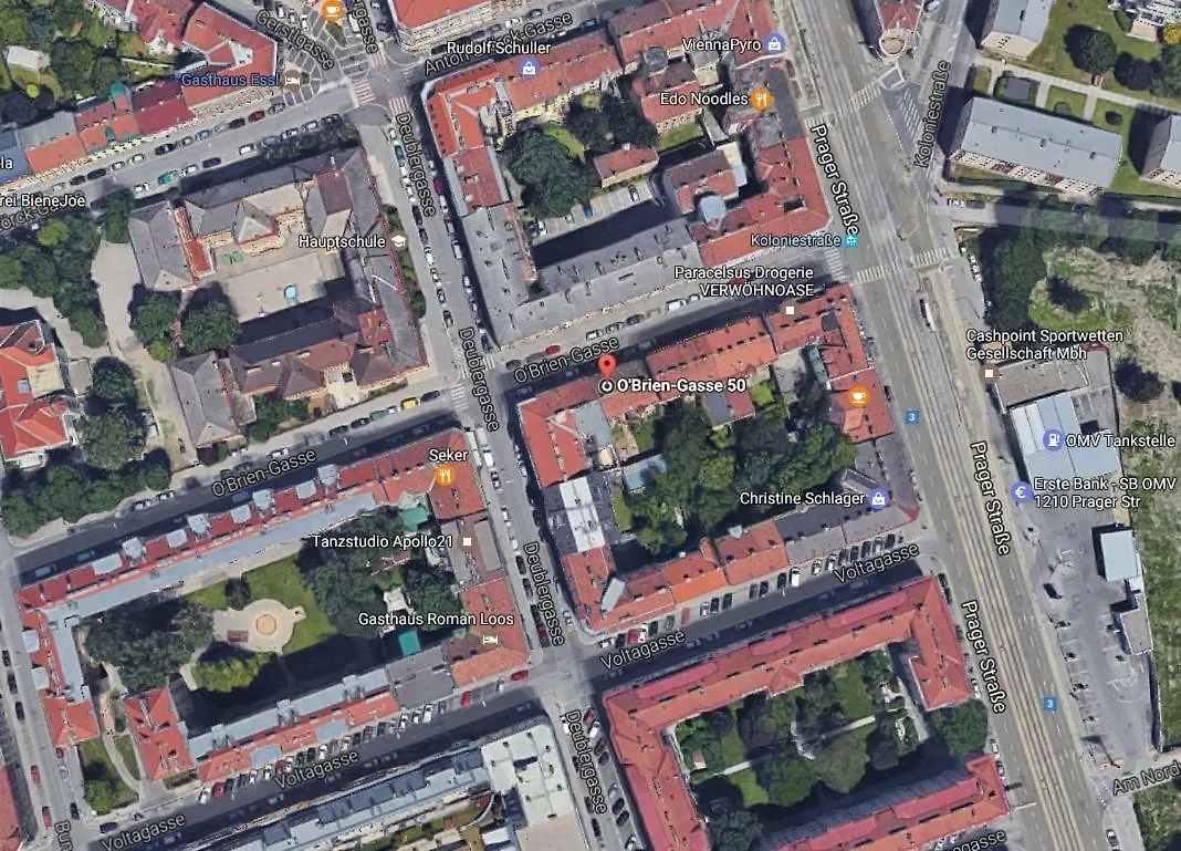 Trending Apartment Viena